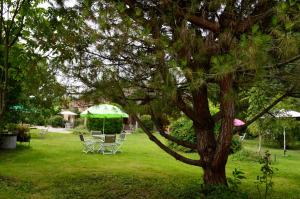 Pinel-Hauterive拉卡斯塔都提瓦住宿加早餐旅馆的院子里绿伞下的桌椅