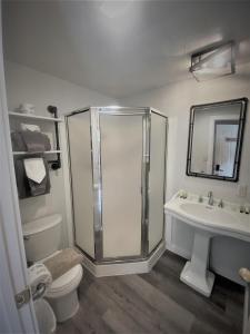 松林度假村房车公园酒店的一间浴室