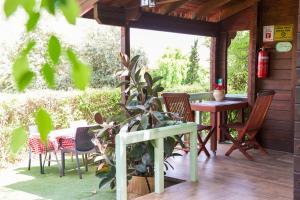 莫沙夫拉莫特Eden Ramot Chalets的庭院配有桌椅和植物