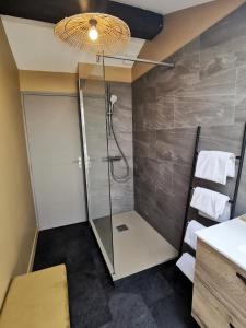 绍莱La Canopée的带淋浴的浴室和玻璃门
