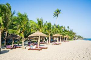 美奈晃玉海滩度假酒店的海滩上设有椅子和遮阳伞,棕榈树