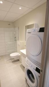 阿克雷里K16公寓式酒店的一间带洗衣机和卫生间的浴室