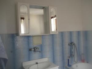 KřižanyRestaurace s ubytováním的一间带水槽和镜子的浴室