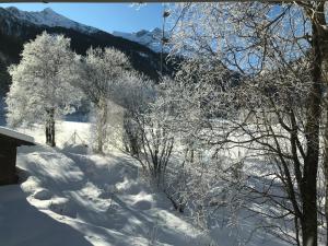 巴德加斯坦Bergchalet Ullmannwies的一片覆盖着树木和山脉的雪地