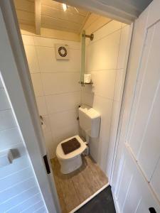 滨海贝亨Pipowagen aan zee的铺有木地板的小型浴室设有卫生间