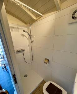 滨海贝亨Pipowagen aan zee的带淋浴和卫生间的浴室