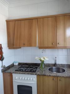 格罗韦Apartamento en San Vicente de O Grove的厨房配有白色炉灶和水槽