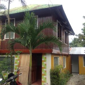 锡帕莱HFA Bldg的前面有棕榈树的房子