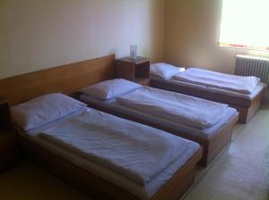 Holoubkov贝洛拉维克酒店的客房内的两张床和白色床单