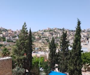 伯利恒B&B at Palestinian home / Beit Sahour的享有树木和建筑的城市美景