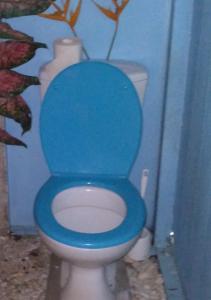 Parea纳黑托叶山林小屋的浴室内蓝色的厕所和蓝色的座椅