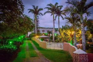 莱萨维龙Ferme équestre des Avirons的棕榈树庭院中绿灯的房子