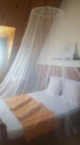 莱萨维龙Ferme équestre des Avirons的一间卧室配有一张带蚊帐的床