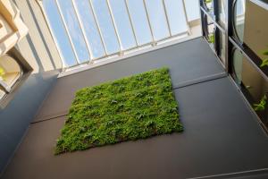 圣康坦Hôtel Le Picardy的建筑地板上的绿色植物