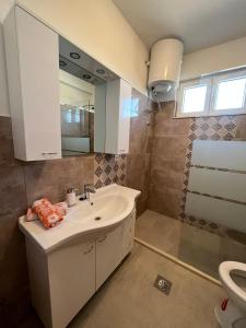 布拉采Apartman Maša的一间带水槽、卫生间和镜子的浴室