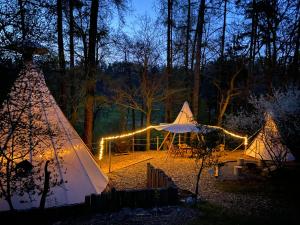 UnhošťGlamping Nad Meandry的夜间在树林里搭起帐篷和帐篷