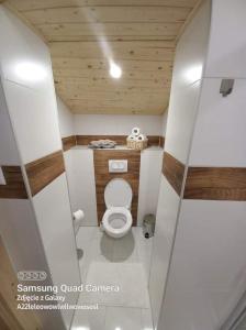 斯米扎尼Chata Dominika的一间位于客房内的白色卫生间的浴室