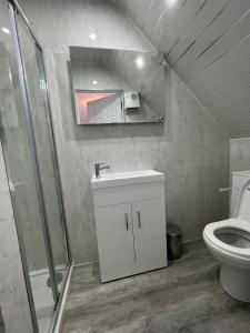 波特里The Thistle Guesthouse的浴室配有卫生间、淋浴和盥洗盆。