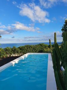 蓬塔穆赫雷斯Villa Sama的仙人掌和大海旁的游泳池