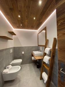 帕多拉B&B Al Mulin的一间带水槽、卫生间和镜子的浴室
