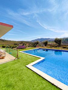 拉梅戈Quinta dos Padrinhos - Suites in the Heart of the Douro的一座绿色草地庭院内的大型游泳池