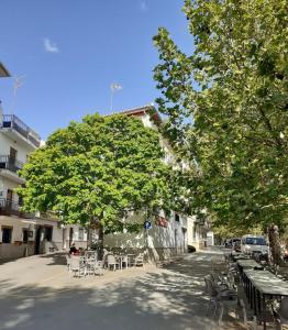 皮诺斯赫尼尔Apartamentos Pinos Genil的一条带桌椅的街道和一棵树