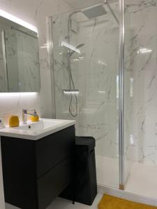 昂热Lac de maine - 75m2 refait a neuf的带淋浴、盥洗盆和镜子的浴室