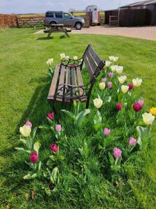 ColkirkFIELDVIEW FARMHOUSE BED AND BREAKFAST的坐在草地上的公园长凳上,花朵