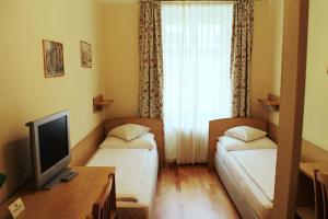 维也纳格拉夫体育场酒店的小房间设有两张床和电视