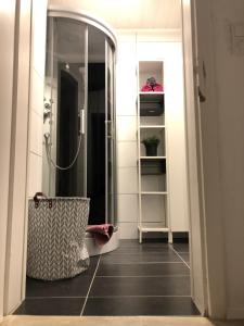 上施泰尔马克地区圣米夏埃尔Appartements Gabat Nähe Red Bull Ring的一间带步入式淋浴间和镜子的浴室