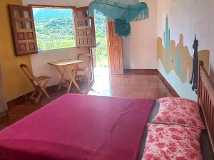 伊比科阿拉Pousada Serra Aquarela的一间卧室配有一张床、一张桌子和一个窗户。