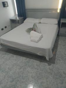 博卡奇卡RECIDENCIAL MIGNOLI的一张白色的床,上面有两条毛巾