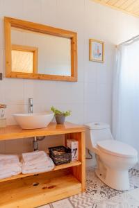 皮奇勒姆360 Lodge Pichilemu的一间带水槽、卫生间和镜子的浴室