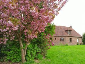 VerlinghemLes chambres du Vert Galant "La campagne qui murmure"的房子前有粉红色花的树
