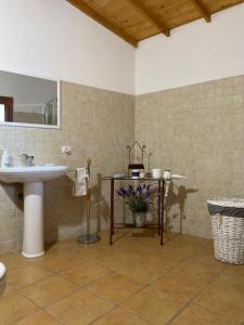 TuiliB&B Domenico Paulis的浴室设有水槽和带镜子的台面