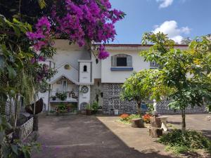 尤西德福拉门多萨旅馆的前面有紫色花的房屋