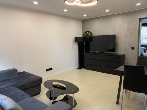 派尔努Tammsaare Luxury Apartment的带沙发和电视的客厅