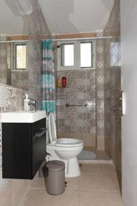 纳夫普利翁Ηermes Apartment - 3的一间带卫生间和淋浴的浴室