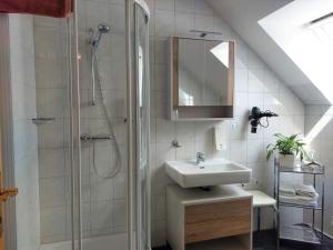 克勒希Gästehaus - Camping- Weinhof Radl的一间带水槽和淋浴的浴室