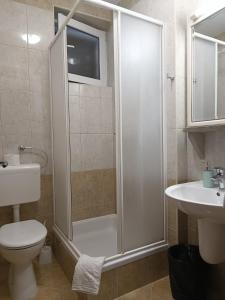 布雷拉Apartments Niki的带淋浴、卫生间和盥洗盆的浴室