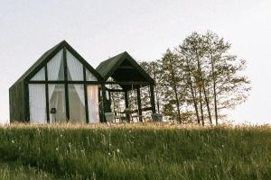 SkaistaPazust Latgalē Country Houses的草山顶上的一个小房子