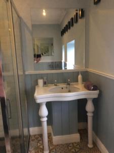 BalrathStone Lodge B&B的一间带水槽和玻璃淋浴的浴室