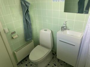 布罗艾厄AgerBro的浴室配有白色卫生间和盥洗盆。