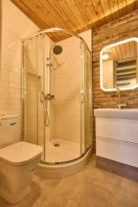 Sulzbach an der MurrRote Wohnung - Goldenes-Häusle的带淋浴、卫生间和盥洗盆的浴室