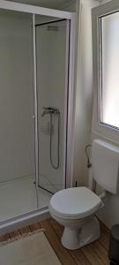 巴什卡沃达Mobile home Maria, Camp Baško Polje的一间带卫生间和玻璃淋浴间的浴室