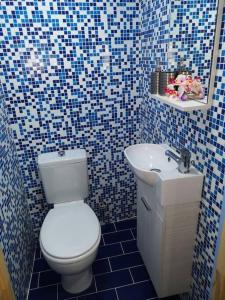 拉多斯Valantas Garden Suite的蓝色和白色的浴室设有卫生间和水槽