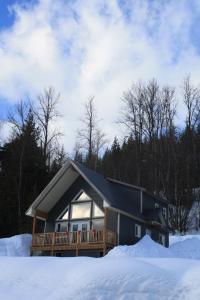 冬天的Stoke Cabin by Revelstoke Vacations