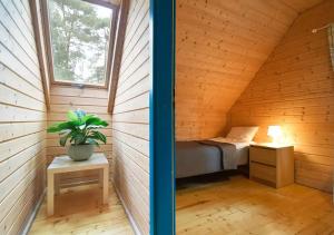 波别罗沃Kolorowe Domki的小木屋内的一个房间,配有一张床和植物