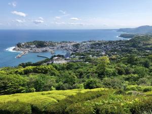 东伊豆町Izu Hokkawa Seaside Guesthouse 伊豆北川の家的城市和海洋的空中景观