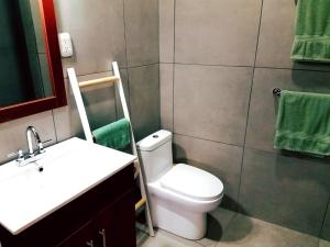 别霍港Lizard King Hotel & Suites的浴室设有卫生间、水槽和绿毛巾。